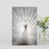 Mooie witte pauw briefpapier (Staand voorkant)