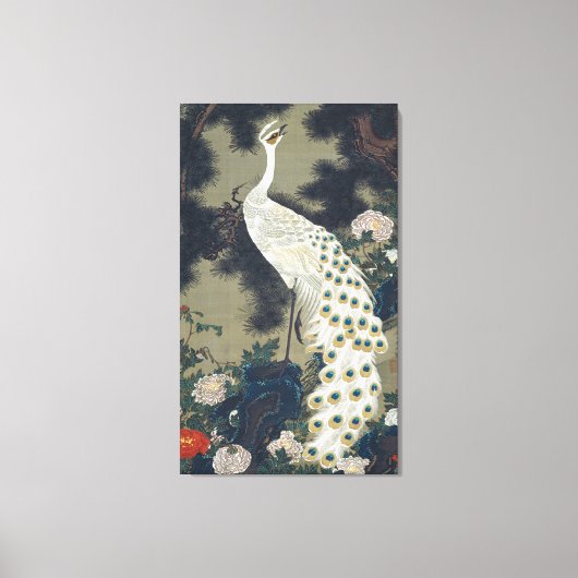 Mooie witte pauw Japans Canvas Afdruk (Voorkant)