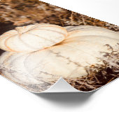 Mooie witte pompoenen herfstweide foto afdruk (Hoek)