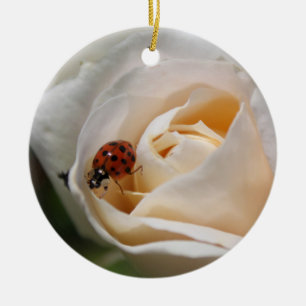 mooie witte rozenbloem en ladybug keramisch ornament