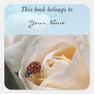 mooie witte rozenbloem en ladybug vierkante sticker