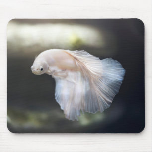Mooie witte Siamese Betta die vis vecht Muismat