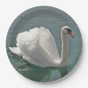 Mooie witte zwaluw papieren bordje