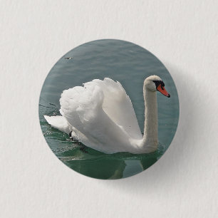 Mooie witte zwaluw ronde button 3,2 cm