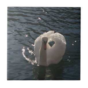 Mooie witte zwaluw tegeltje