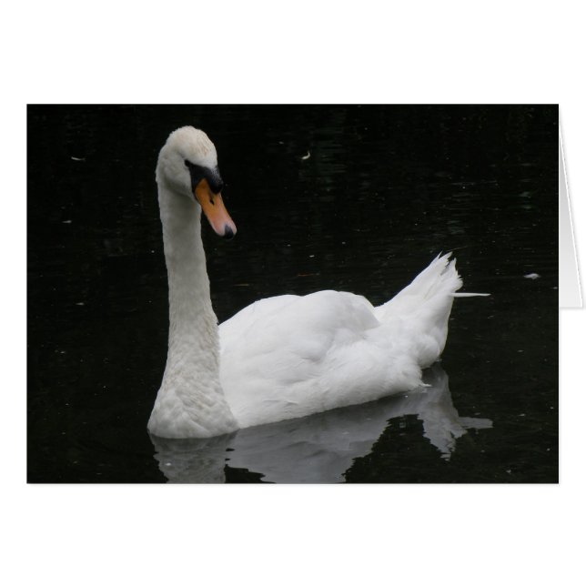 Mooie witte zwenkkaart (Voorkant Horizontaal)