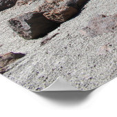 Mooie woestijn poster (Hoek)