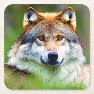 Mooie wolfkop schilderen vierkante kartonnen onderzetter