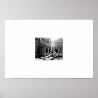 Mooie wortels - Angkor Wats - Cambodja Poster