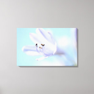 Mooie zachte blauwe bloem opgespannen canvasprint canvas afdruk