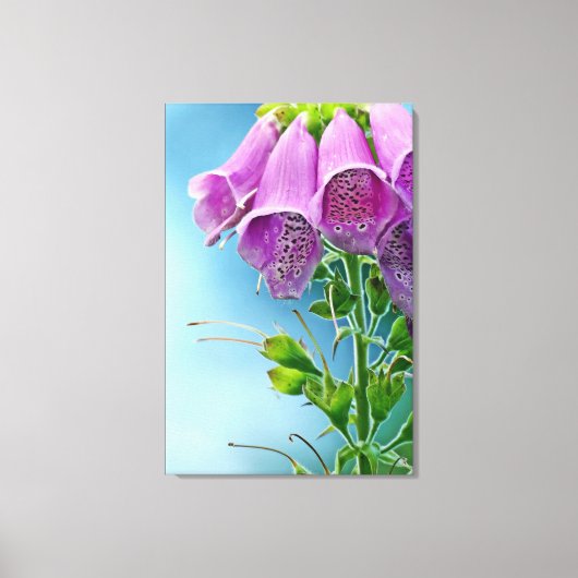 Mooie zachte Roos, aantrekkelijke ventilator Canvas Afdruk (Voorkant)