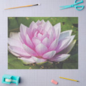 Mooie, zachte roze waterLily Tissuepapier (Craft)