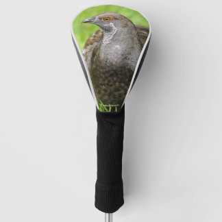 Mooie zalige Grouse in de gras Golfheadcover