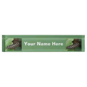 Mooie Zebra Langvleugelvlinder Naambordje