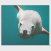 Mooie Zee Lion Cadeaupapier (Vlak)