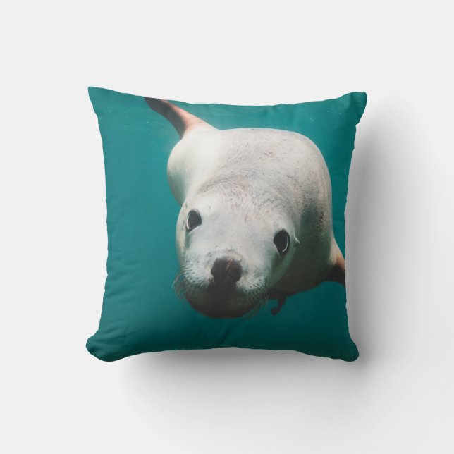 Mooie Zee Lion Kussen (Voorkant)