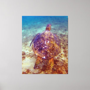 Mooie zeeen schildpadden canvas afdruk