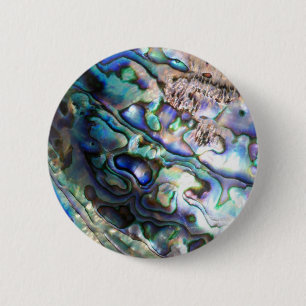 Mooie zeeoorschelp ronde button 5,7 cm