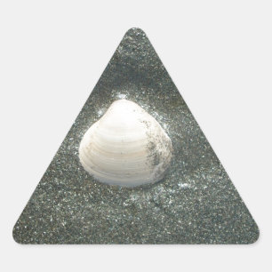 Mooie zeeschelp in het zand: een zout souvenir driehoek sticker