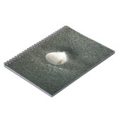 Mooie zeeschelp in het zand: een zout souvenir notitieboek (Linkerzijde)