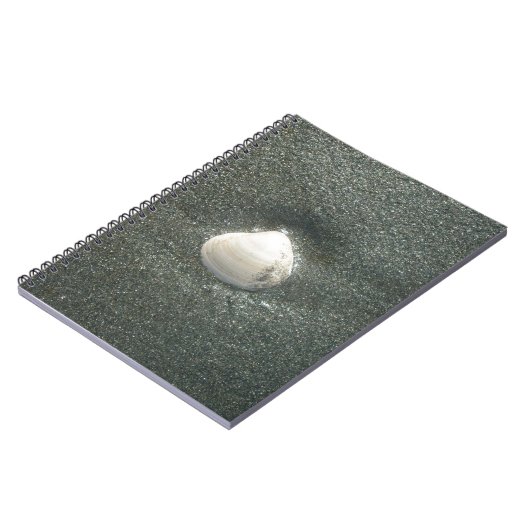 Mooie zeeschelp in het zand: een zout souvenir notitieboek (Linkerzijde)