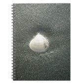 Mooie zeeschelp in het zand: een zout souvenir notitieboek (Voorkant)