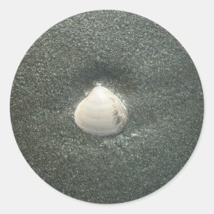 Mooie zeeschelp in het zand: een zout souvenir ronde sticker
