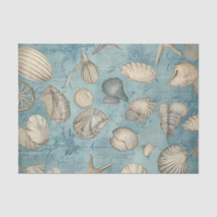 Mooie  zeeschelpen in blauw tissuepapier