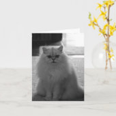 Mooie zitten kaart (Gele Bloem)