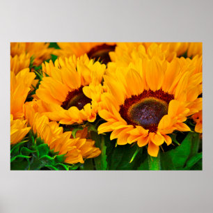 Mooie Zomer Zonnewiefje Schilderij Poster