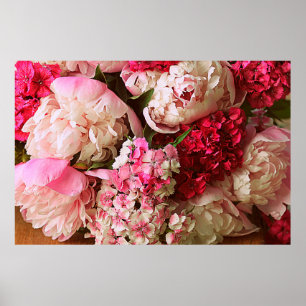 Mooie zomerbloemen. Bouquet van roze pony en Poster