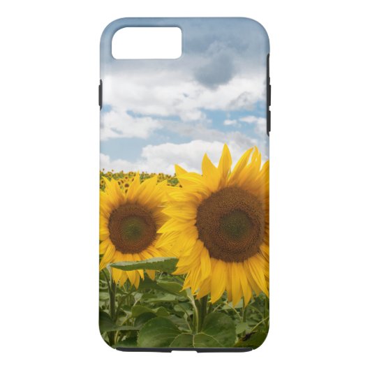 mooie zomerzonnebloemen Case-Mate iPhone case (Achterkant)