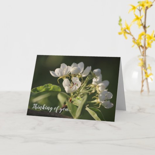 Mooie zonlicht-witte peren bloesem kaart (Gele Bloem)