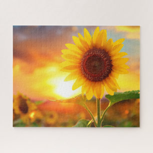 Mooie zonnebloem bij zonsondergang legpuzzel