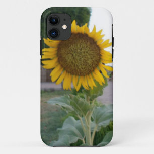 Mooie zonnebloem iPhone 11 hoesje