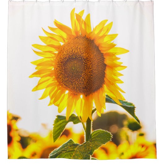 Mooie zonnebloem douchegordijn (Voorkant)