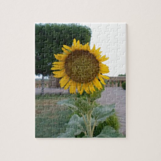 Mooie zonnebloem legpuzzel (Verticaal)