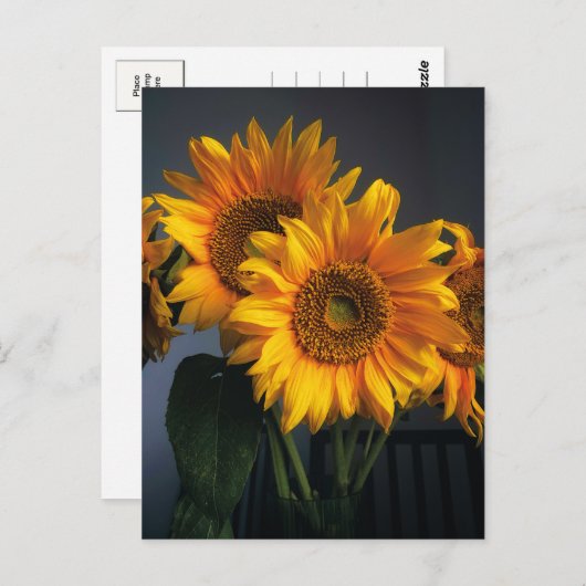 Mooie Zonnebloemen in Vase Briefkaart (Voorkant / Achterkant)