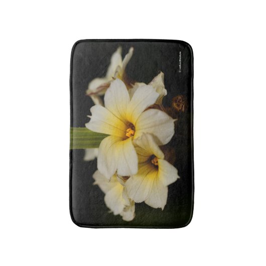 Mooie zonnetjes op zwart badmat (Voorkant Verticaal)