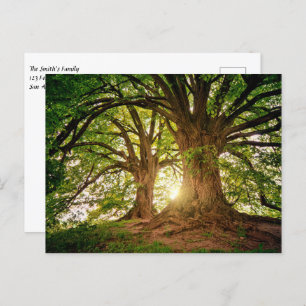 Mooie zonsondergang in het bos briefkaart