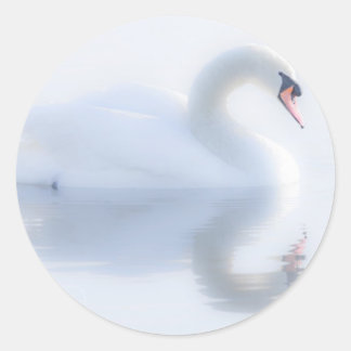 Mooie zwaan Stickers