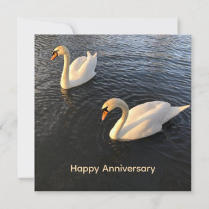 Mooie zwanen Jubileum Feestdagenkaart