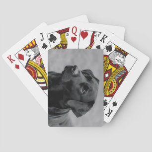 Mooie zwart-wit foto van een zwarte labrador pokerkaarten