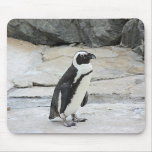 Mooie zwart-witte pinguïn op de rotsen muismat