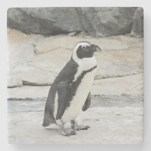 Mooie zwart-witte pinguïn op de rotsen stenen onderzetter