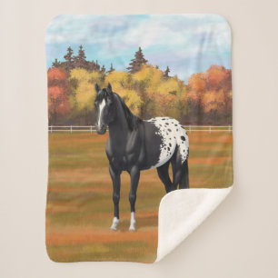 Mooie zwarte Appaloosa Quarter Horse Stallion Sherpa Deken