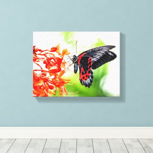 Mooie zwarte en rode vlinderinsecten Natuur Canvas Afdruk (Insitu (Houten vloer))