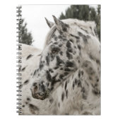 Mooie zwarte en witte Appaloosa-paarden Notitieboek (Voorkant)