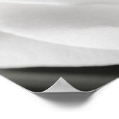 Mooie zwarte en witte rozen poster (Hoek)