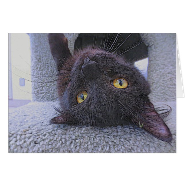 Mooie zwarte kat (Voorkant Horizontaal)